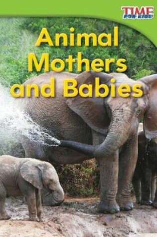 Cover of Animal Mothers and Babies