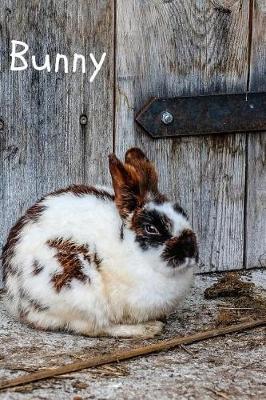 Book cover for Bunny