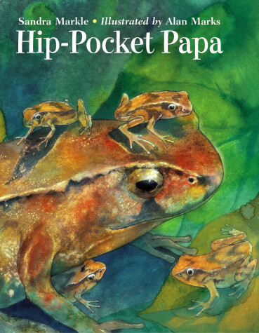 Book cover for Hip-Pocket Papa