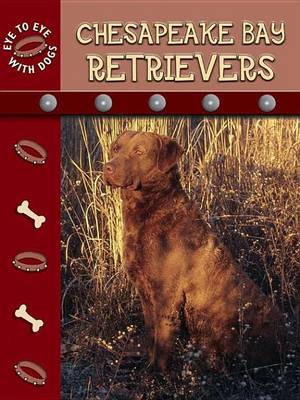 Book cover for Chesapeake Retrievers