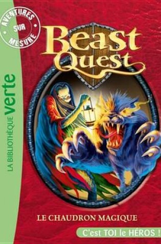 Cover of Beast Quest 21 - Aventures Sur Mesure, Le Chaudron Magique