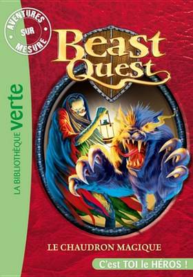Book cover for Beast Quest 21 - Aventures Sur Mesure, Le Chaudron Magique