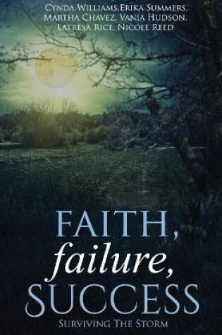 Cover of Faith, Failure, Success Vol. 2
