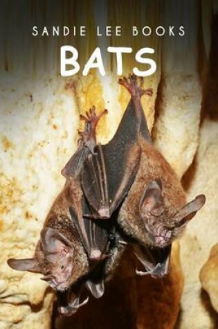 Cover of Bats - Sandie Lee Books