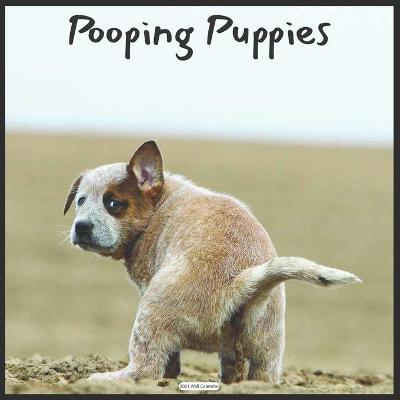 Book cover for Pooping Puppies 2021 Wall Calendar