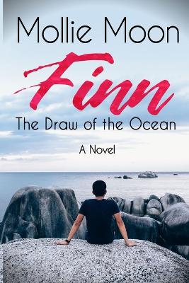 Book cover for Finn