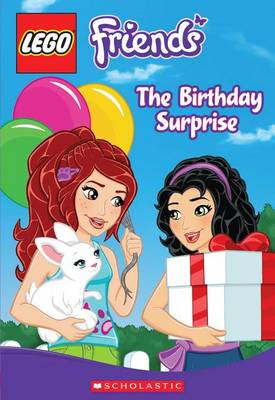 Cover of The Birthday Surprise (Chapter Book #4)