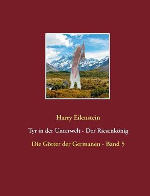 Book cover for Tyr in der Unterwelt - Der Riesenkoenig I