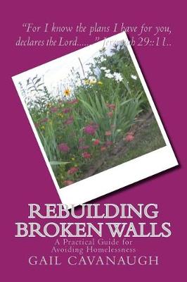 Cover of Rebuilding Broken Walls