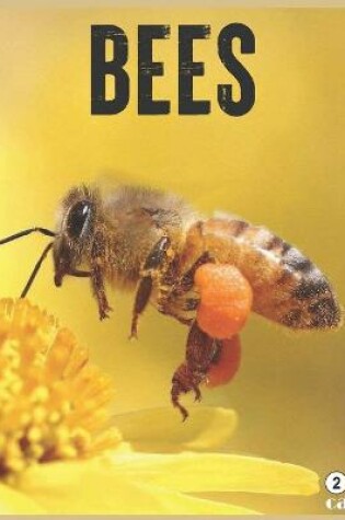 Cover of Bees 2021 Calendar