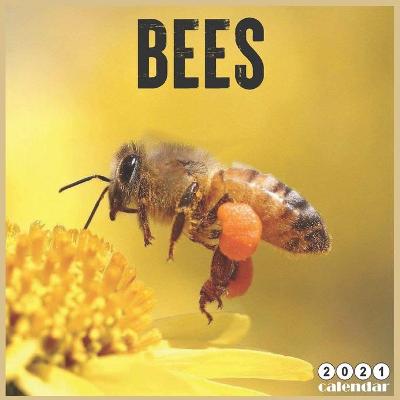 Book cover for Bees 2021 Calendar