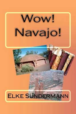 Book cover for Wow! Navajo!