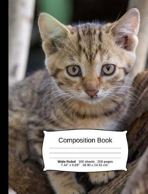 Book cover for Cat Composition Notebook, Wide Ruled