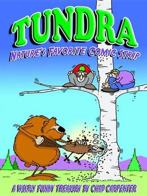 Book cover for Tundra