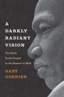 Book cover for A Darkly Radiant Vision