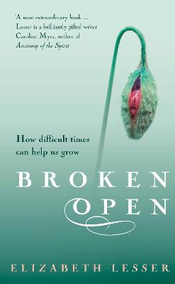 Book cover for Broken Open