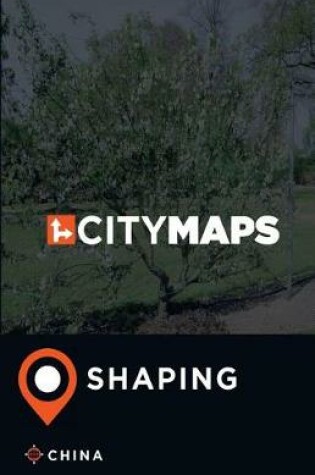 Cover of City Maps Shaping China