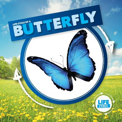 Cover of Butterfly