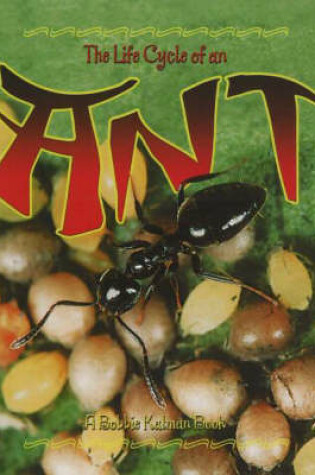 Cover of The Life Cycle of the Ant