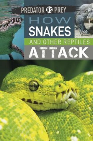 Cover of Predator vs Prey: How Snakes and other Reptiles Attack