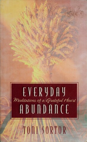 Book cover for Everyday Abundance