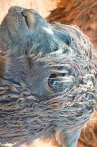 Cover of An Alpaca Looking Disheveled, for the Love of Animals