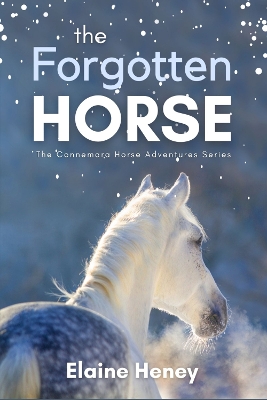 Cover of The Forgotten Horse - Book 1 in the Connemara Horse Adventure Series for Kids | The Perfect Gift for Children