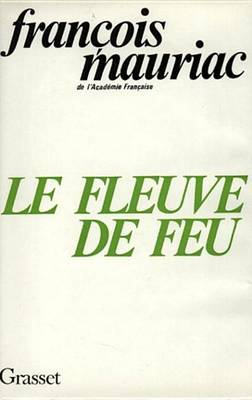 Book cover for Le Fleuve de Feu