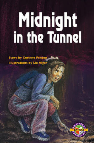 Cover of Midnight in the Tunnel