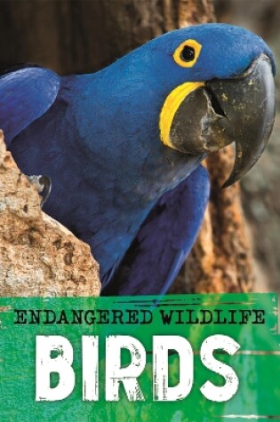 Cover of Endangered Wildlife: Rescuing Birds