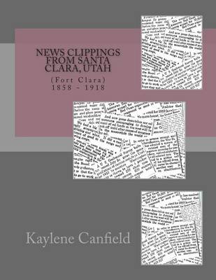 Book cover for News Clippings from Santa Clara, Utah