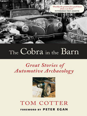 Book cover for The Cobra in the Barn