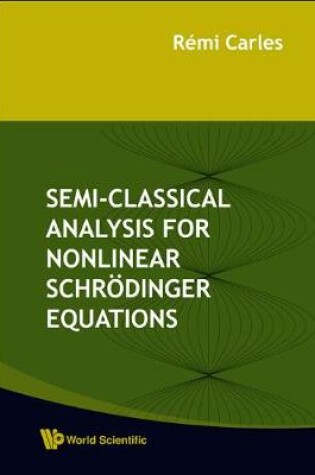 Cover of Semi-classical Analysis For Nonlinear Schrodinger Equations