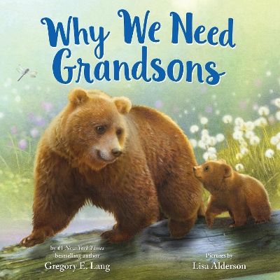 Book cover for Why We Need Grandsons