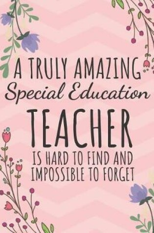 Cover of A Truly Amazing Special Education Teacher