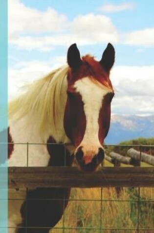 Cover of Pretty Horse Rocky Mountain Animal Photograph Painted Pony Wide-ruled Lined School Composition Notebook