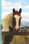 Book cover for Pretty Horse Rocky Mountain Animal Photograph Painted Pony Wide-ruled Lined School Composition Notebook