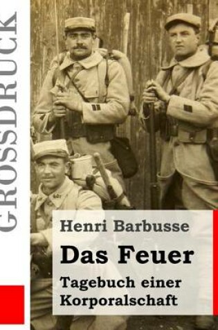 Cover of Das Feuer (Großdruck)