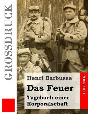 Book cover for Das Feuer (Grossdruck)