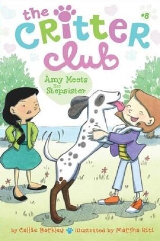 Cover of Amy Meets Her Stepsister