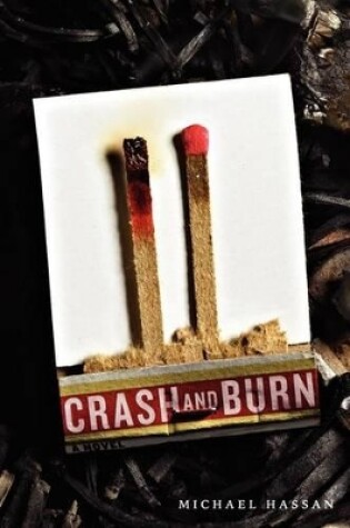 Cover of Crash and Burn