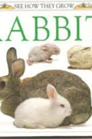 Cover of Watts Barrie : See How They Grow: Rabbit(Hbk)