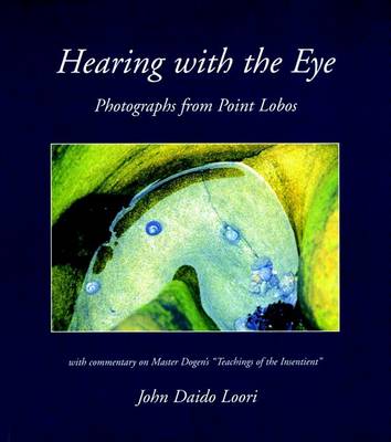 Book cover for Hearing with the Eye