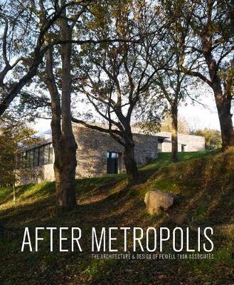 Book cover for After Metropolis