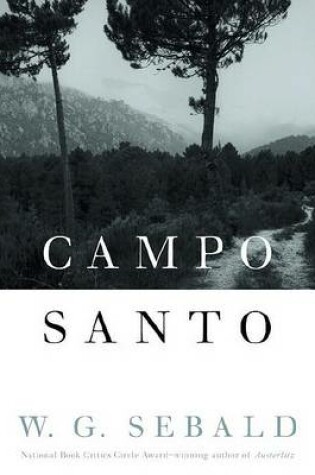 Cover of Campo Santo