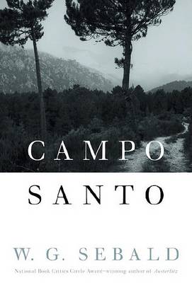 Book cover for Campo Santo