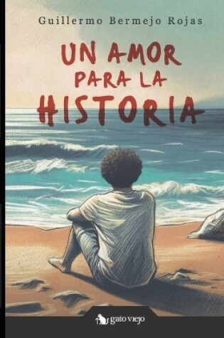 Cover of Un amor para la historia