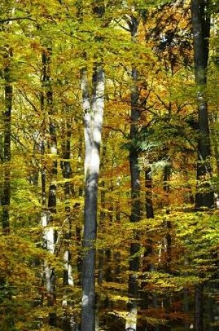 Cover of Sunlight Shining Down Through the Leaves Journal