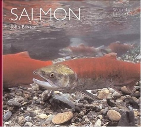 Book cover for Salmon