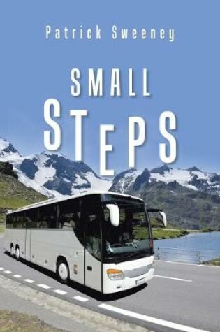 Cover of Small Steps